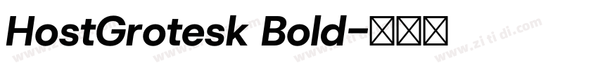 HostGrotesk Bold字体转换